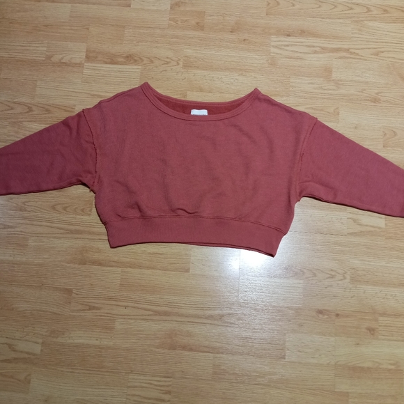 American eagle cropped sweatshirt. Size xxs. COLOR is terracotta. EUC - Picture 3 of 8